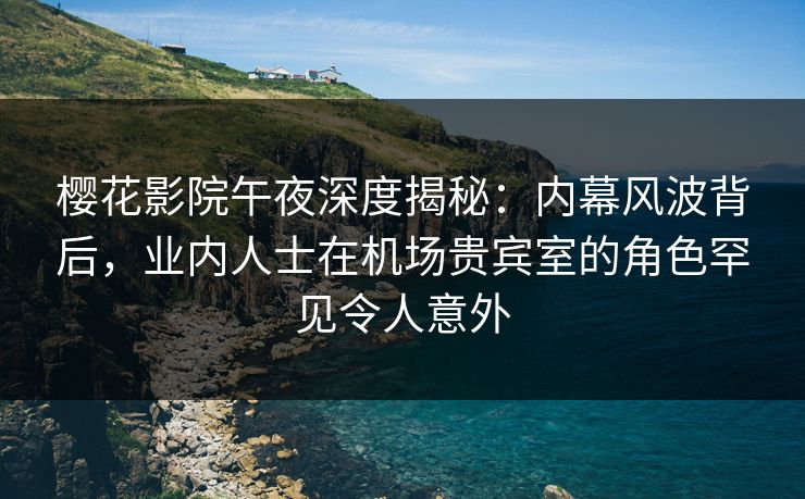 樱花影院午夜深度揭秘：内幕风波背后，业内人士在机场贵宾室的角色罕见令人意外