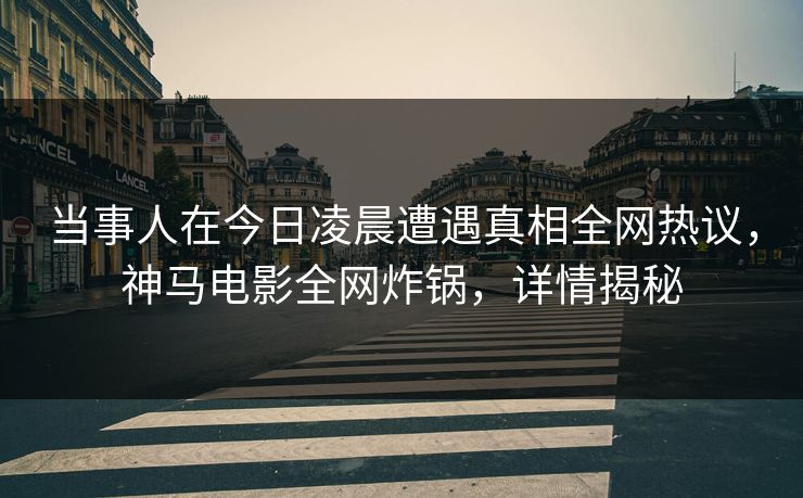 当事人在今日凌晨遭遇真相全网热议，神马电影全网炸锅，详情揭秘