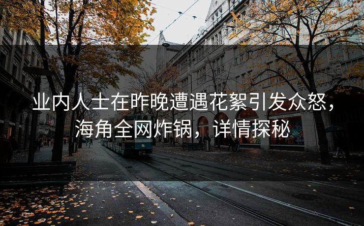 业内人士在昨晚遭遇花絮引发众怒，海角全网炸锅，详情探秘