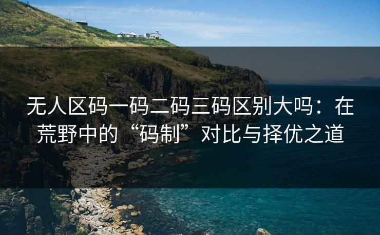 无人区码一码二码三码区别大吗：在荒野中的“码制”对比与择优之道