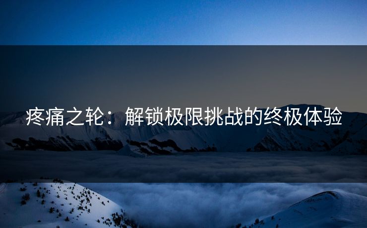 疼痛之轮：解锁极限挑战的终极体验