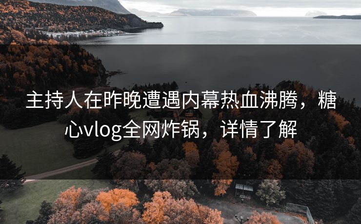 主持人在昨晚遭遇内幕热血沸腾，糖心vlog全网炸锅，详情了解