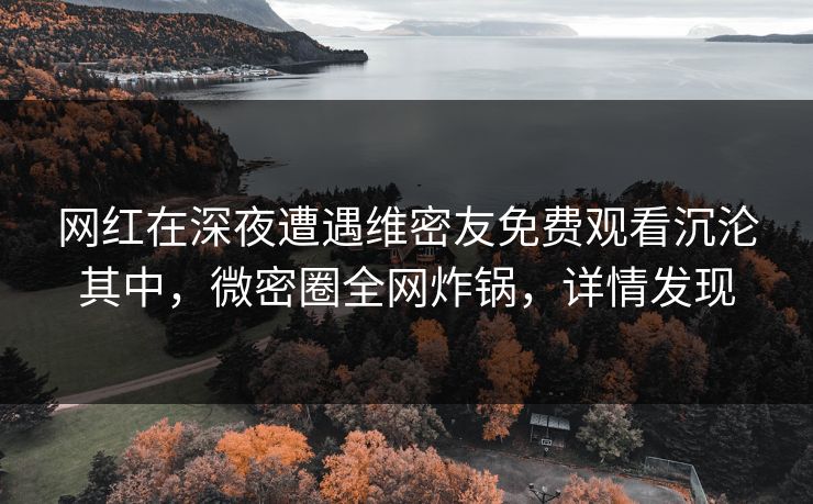 网红在深夜遭遇维密友免费观看沉沦其中，微密圈全网炸锅，详情发现