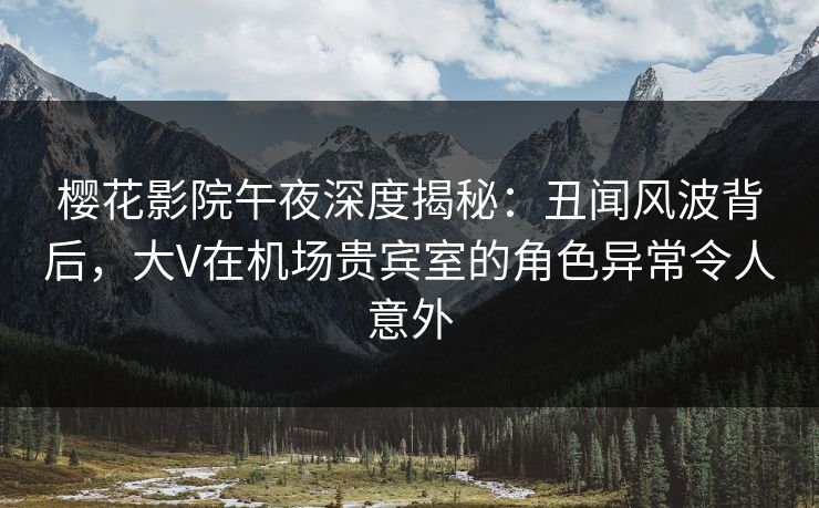 樱花影院午夜深度揭秘：丑闻风波背后，大V在机场贵宾室的角色异常令人意外